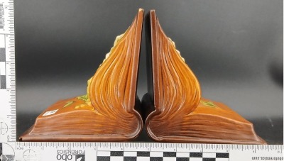 Pair of Roseville Pottery Freesia No. 15 Bookends - 15