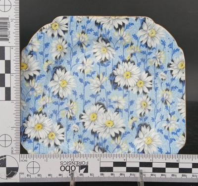 (4) Shelley Blue Daisy Chintz pcs. - 9