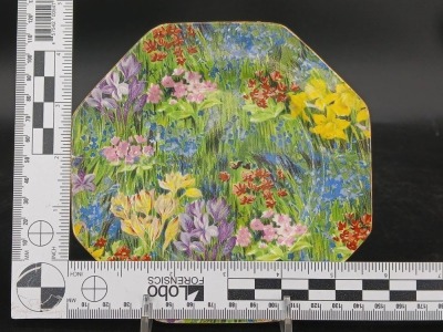 (6) Royal Staffordshire Wilkinson Floral Plates - 4