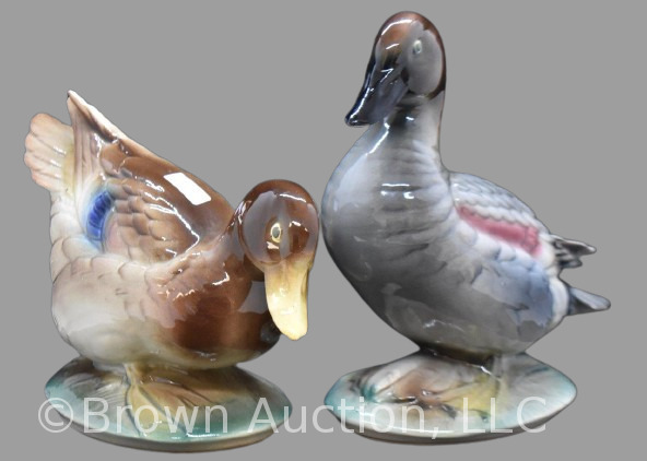 (2) Royal Windsor Gadwell duck figurines: Drake and Hen