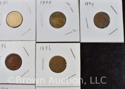 (10) Assorted Inidian Head Pennies - 4