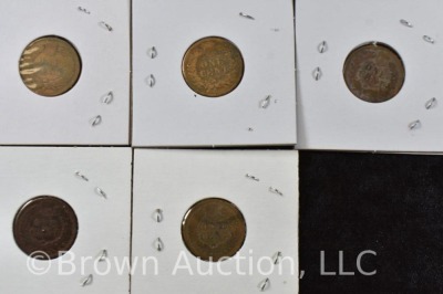 (10) Assorted Inidian Head Pennies - 9