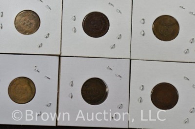 (10) Assorted Inidian Head Pennies - 10