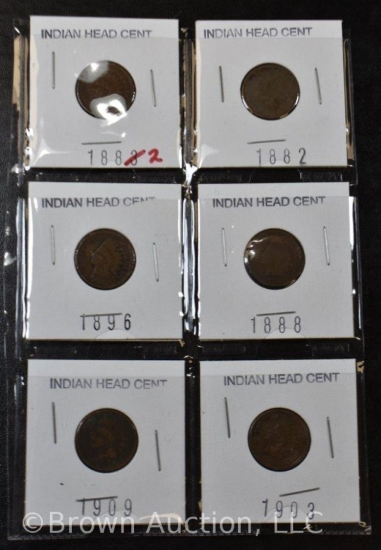 (6) Assorted Indian Head Pennies