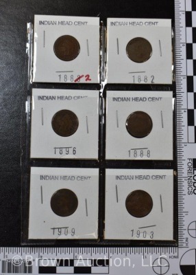 (6) Assorted Indian Head Pennies - 8