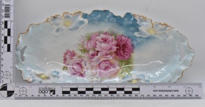 R.S. Prussia Carnation Mold 12" x 6" relish/ celery dish, pink roses, red mark - 8