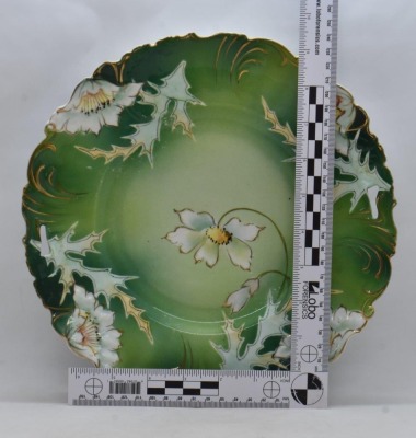 Mrkd. Germany Saxe Altenburg 10.5"d plate, floral decoration - 7