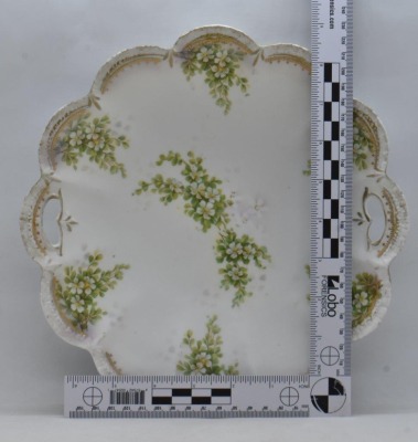 (3) R.S. Prussia Mold 182 10"d cake plates, all have floral designs, red mark - 21