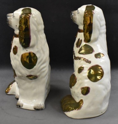 Pair of Victorian Staffordshire spaniel dog figures w/ greenish/ gold luster decoration, 10" tall - 4