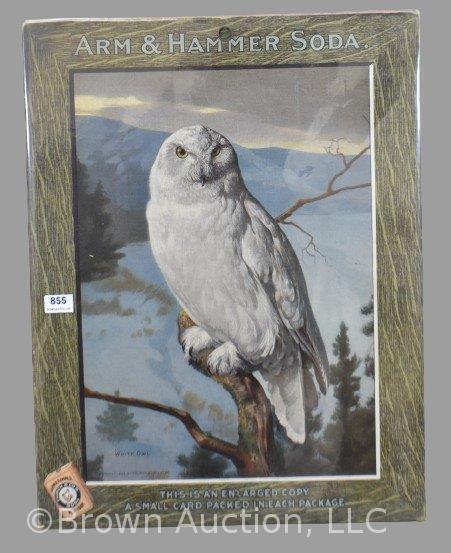 Arm and Hammer Soda advertising poster, "White Owl"