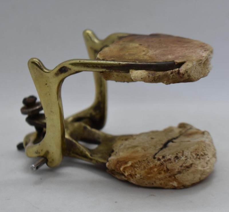 Mrkd. Apex 2 brass dental lab articulator with attached dental models