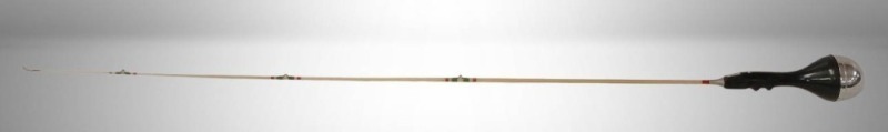 Great Lakes Fishing Rod with Reel