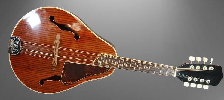 Kay Flat-Back Mandolin with Sunburst Veneer