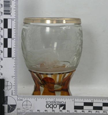 Etched Glass Vase with Amber Accents - 6