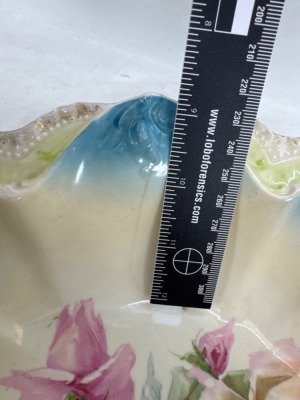 RS Prussia Porcelain Bowl with Floral Design - 6