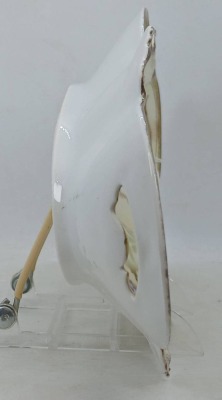 R.S. Prussia Porcelain Relish Tray - 4