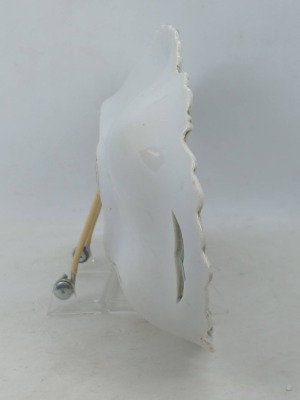Handpainted Porcelain Relish Tray - 4