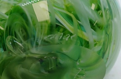 Green Swirl Glass Paperweight with Signature - 7