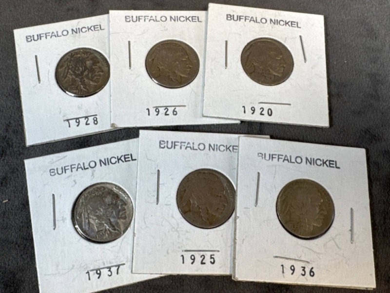 6 Buffalo Nickels in Holders