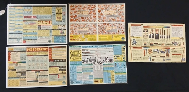 (5) Educational Instructional Charts