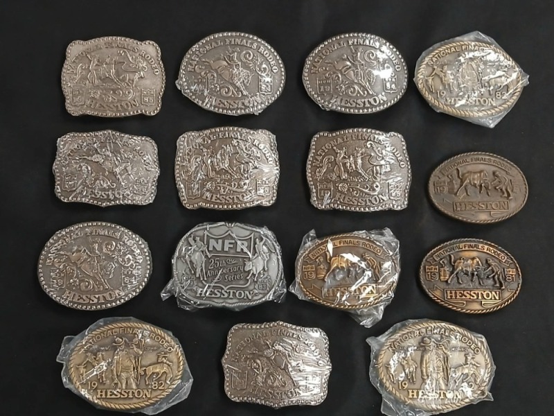 (15) Hesston Rodeo Belt Buckles