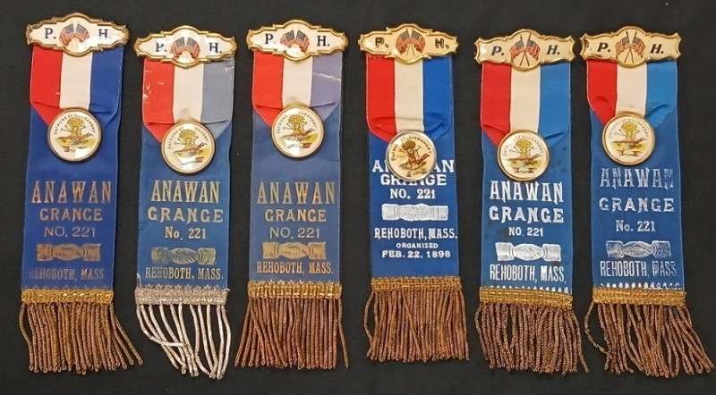 (6) Anawan Grange Ribbons